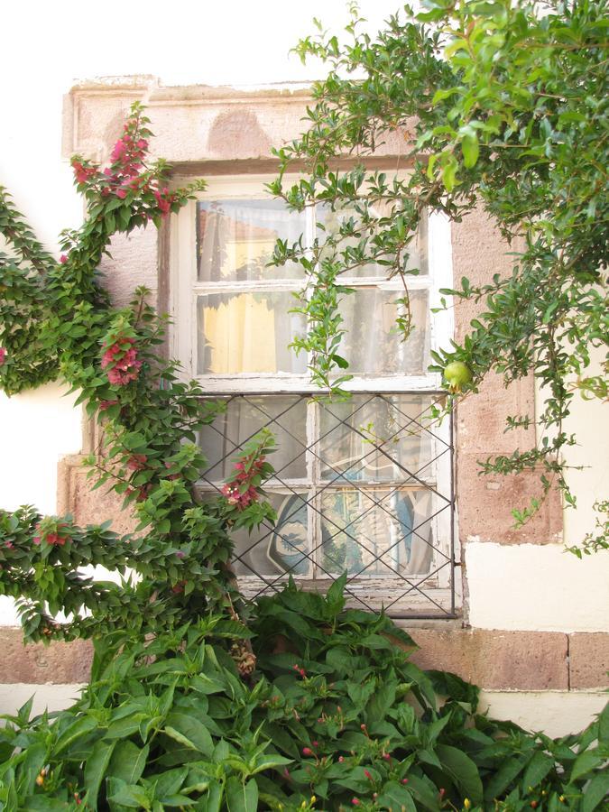 Eolos House Cunda ไอวาลิค ภายนอก รูปภาพ